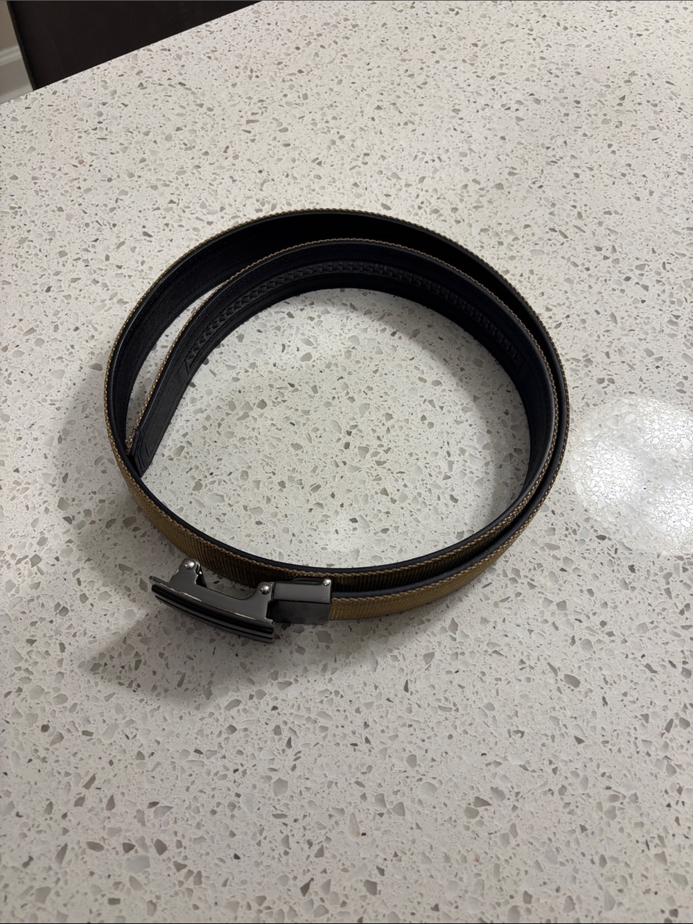 Tan Canvas Belt with Polished Gunmetal Buckle - Picture 3 of 6
